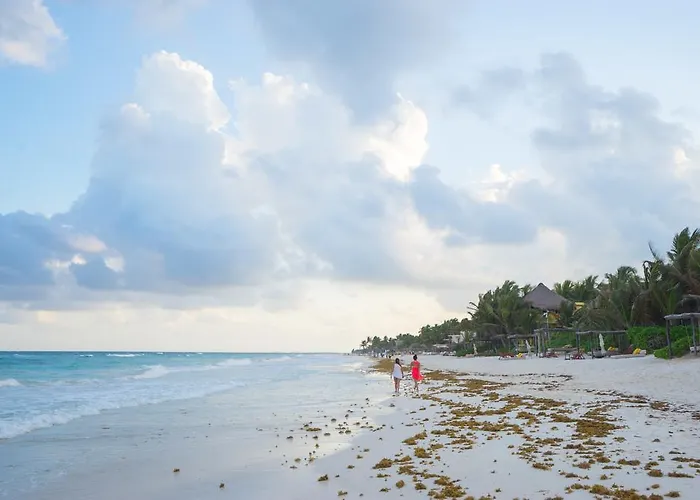 Chill Albergue Tulum